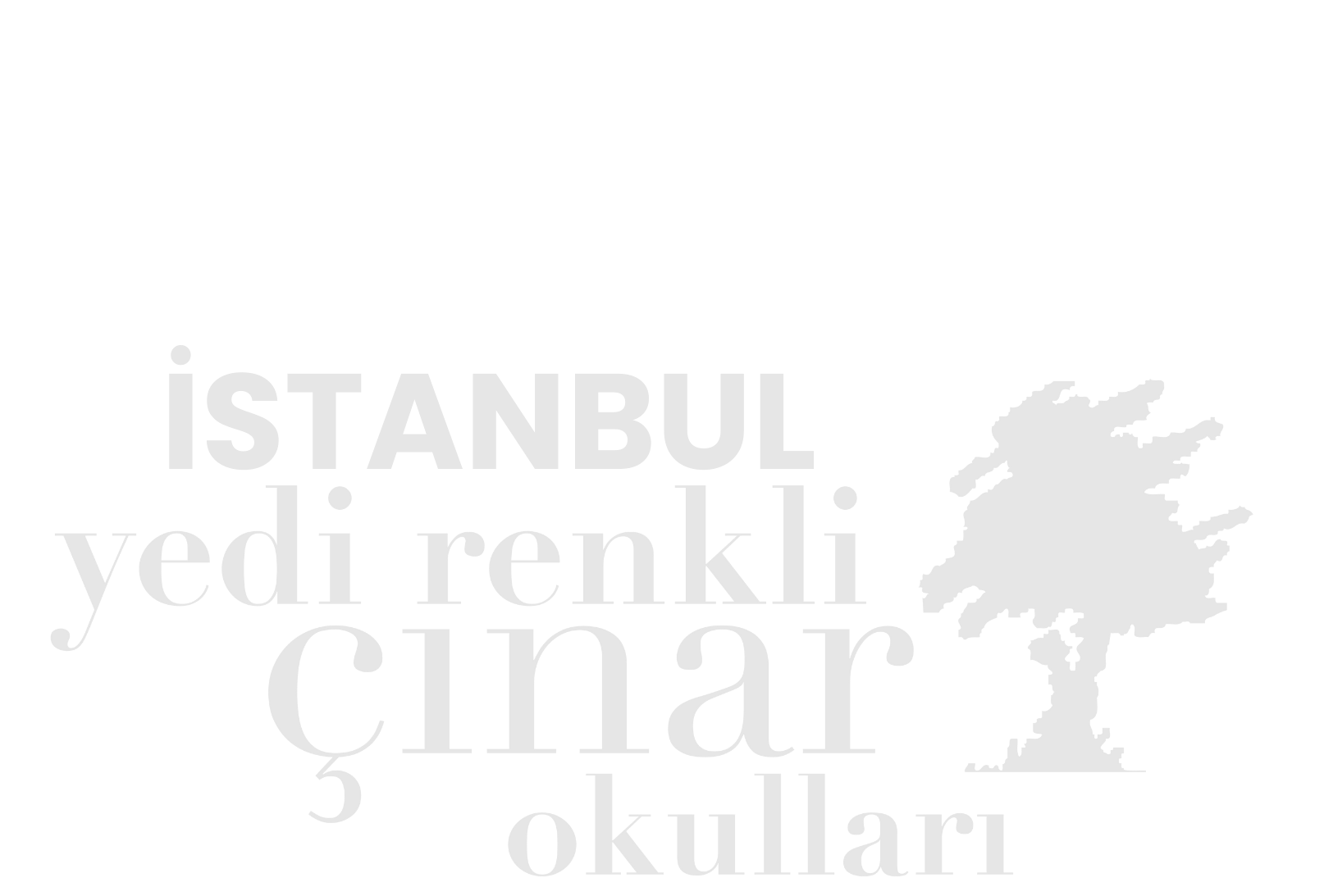 İstanbul/Esenyurt Yedi Renkli Çınar Eğitim Kurumları